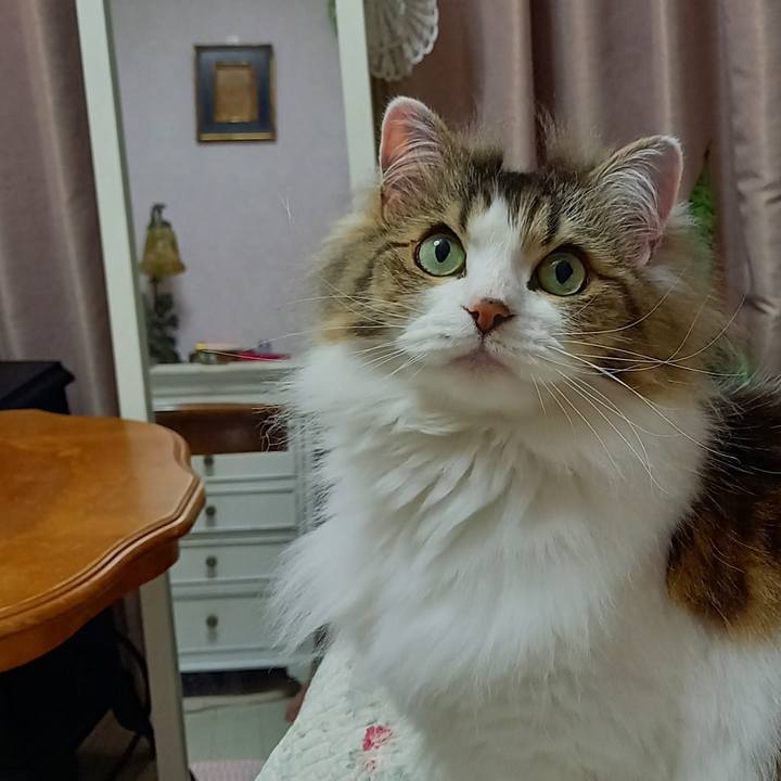 Bca2840d eb36 4d44 82d5 4549da7cb094 1617051728072