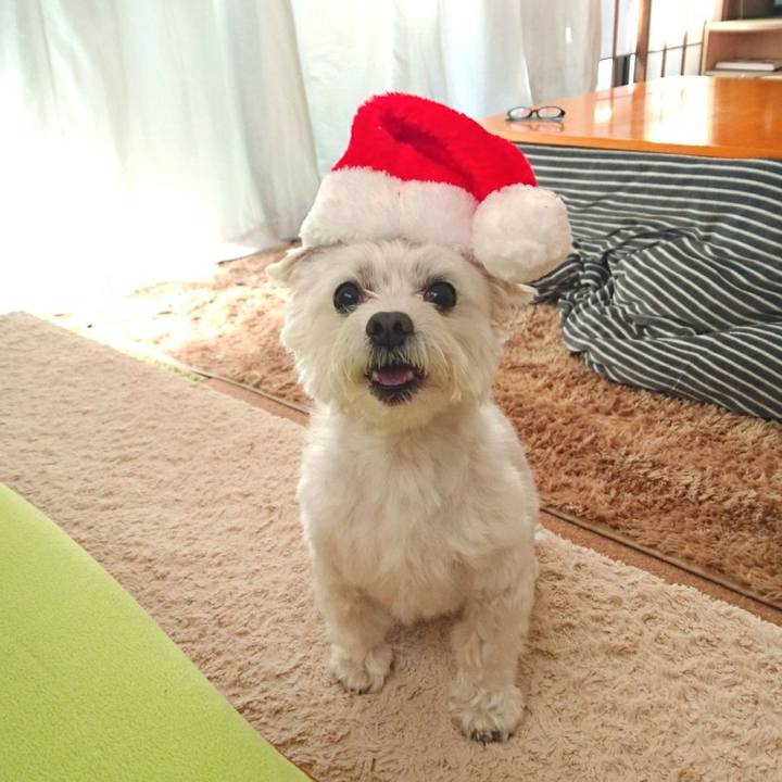 Bca28762 72d5 4eb2 b297 276d2dcde357 1514062011605