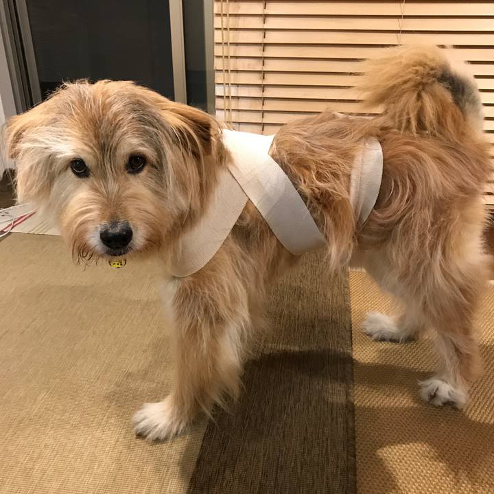 Bca28c30 46f2 46a3 bbac 333bbb01272c 1592828042966