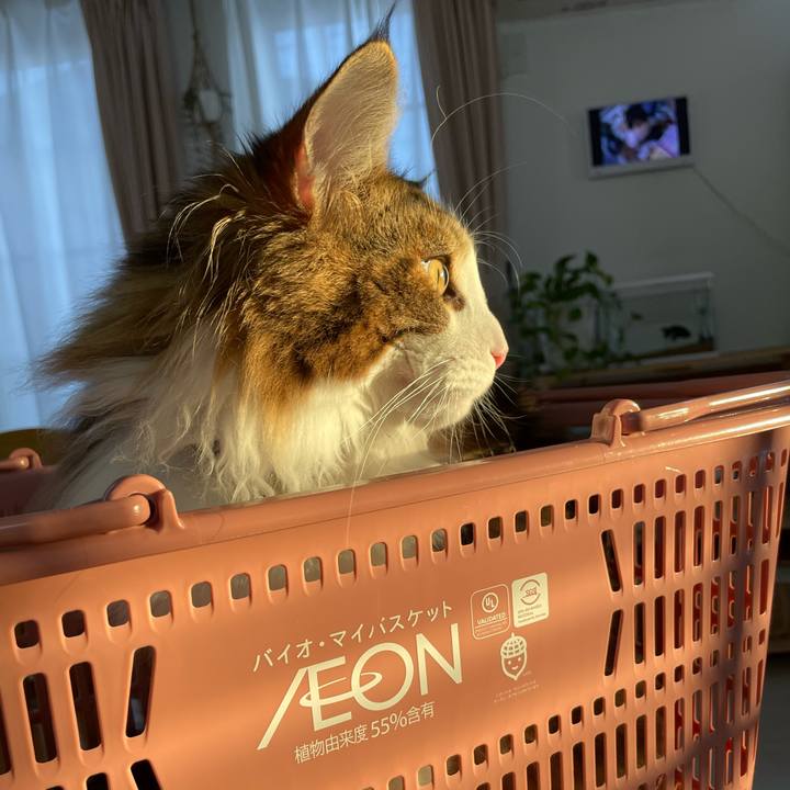 Bca28c92 b4eb 493f 808c aabbba764c60 1642837061582