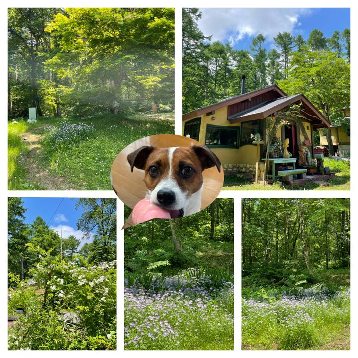 Bca28cac 1f8d 45d8 afcb c2d10d01e06a 1623907933895