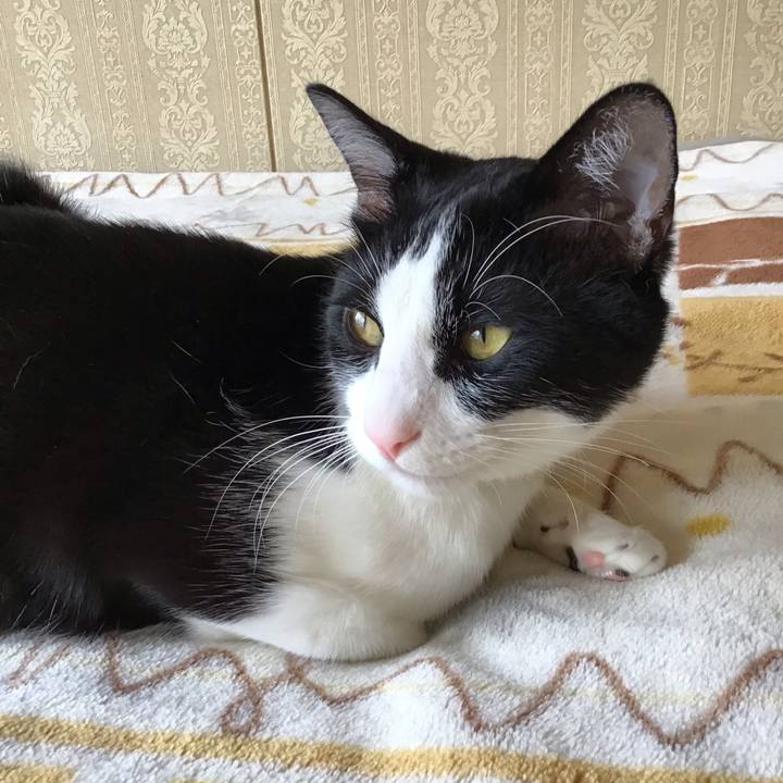 Bca29f7f 2710 4660 83a6 de4642960793 1653526586212