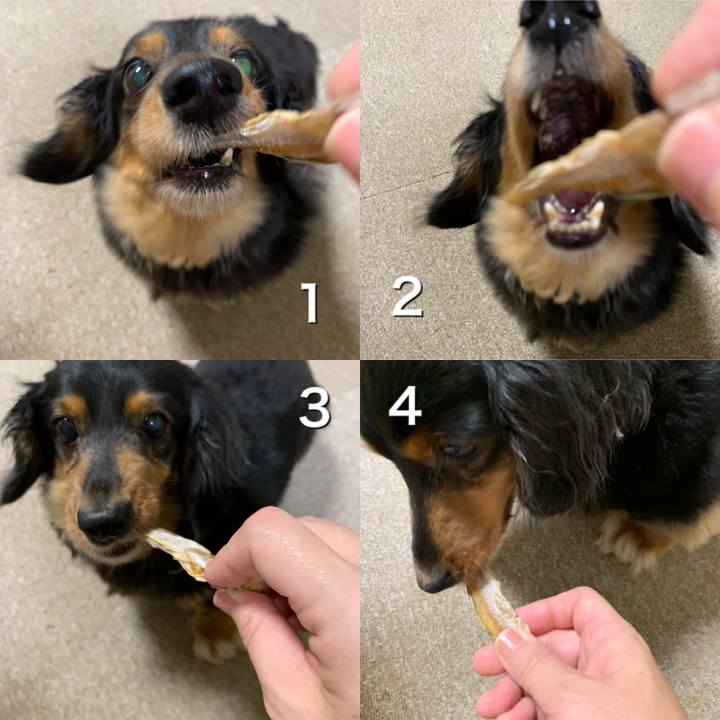 Bca2a5b8 ec96 4a28 84a3 0a7b8fd64604 1591394478089