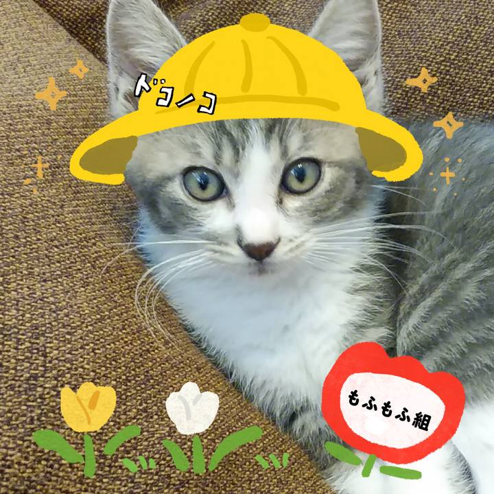 Bca2be01 b0e9 4e82 95f7 33bfbaa02dd5 1712374627182