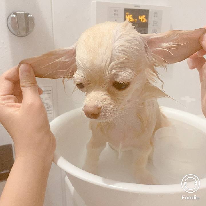 Bca37daf df5a 48f1 a5e9 5ff7091cf263 1608028994115