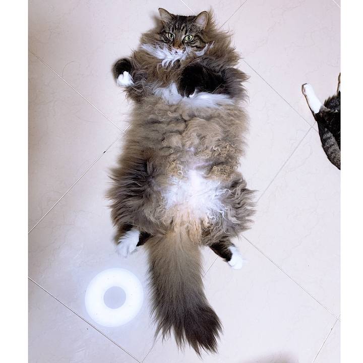 Bca37f13 191b 4d66 96aa c0f5fe71e9de 1565616559333