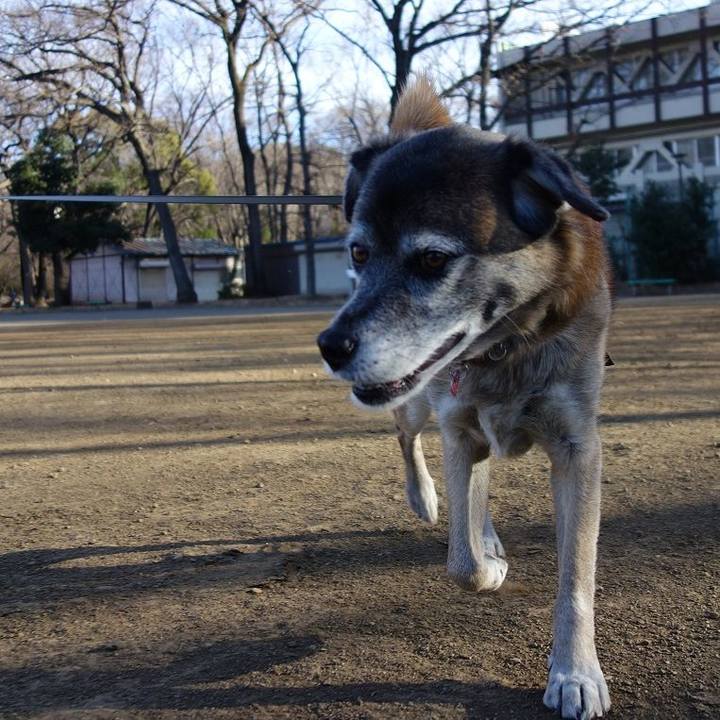 Bca38414 8b4b 4b53 9d5d 07ab4b5b2bcf 1515287353171