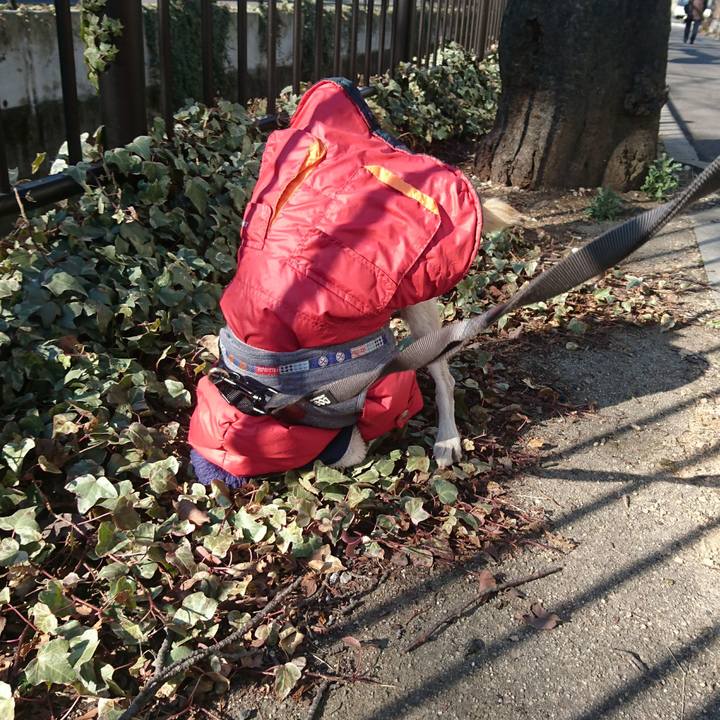 Bca41988 7dcc 4184 8ae7 6da19dda70b2 1550979462422