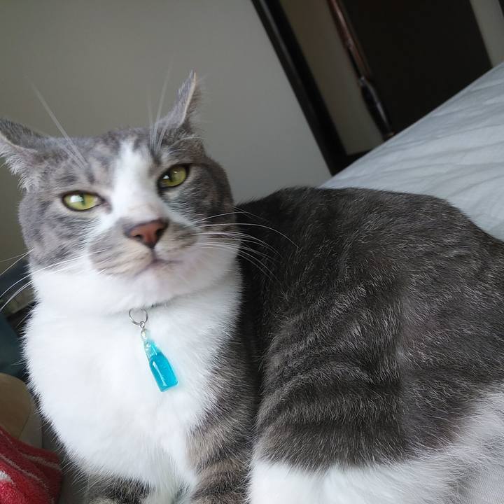 Bca42282 729f 4ce4 b550 6c87a2e415f4 1590448203639