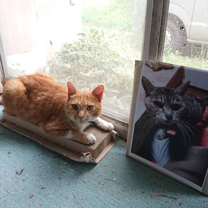 Bca42b0e f97a 4ee0 a594 88cae66e6b50 1599894332273