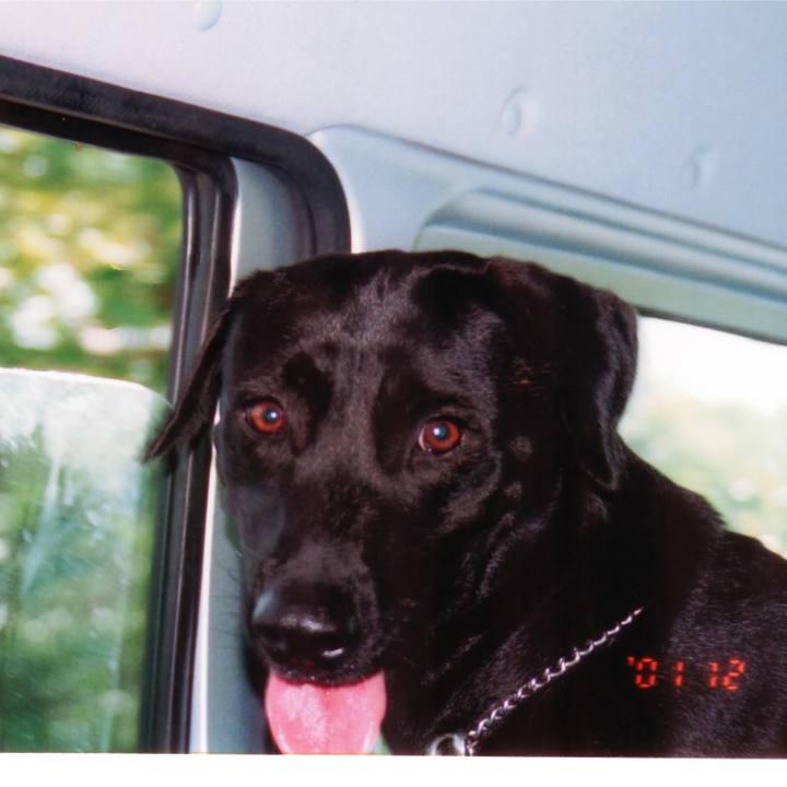 Bca434af 13ab 4833 bcae 3604fe2e67b8 1519900686387