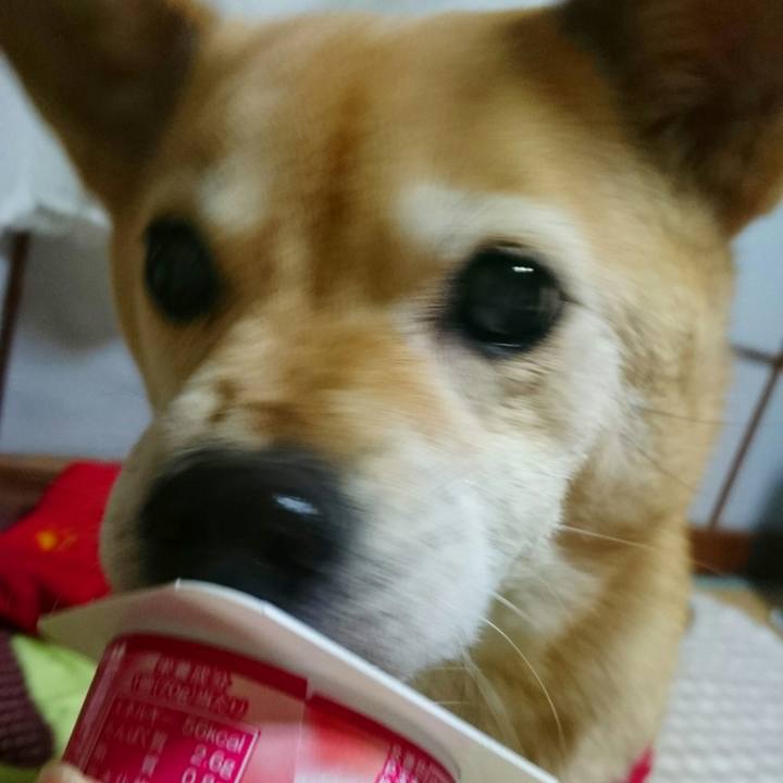 Bca4382e 9755 41c4 82d4 c31ae37a5128 1544237647380