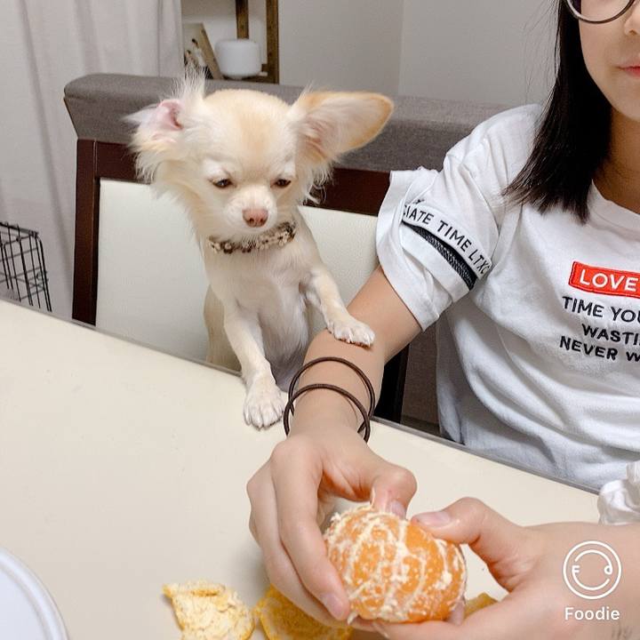 Bca46657 07d3 44b3 aef2 0f88de25ff7c 1604582998700