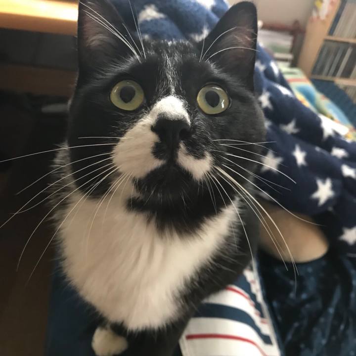 Bca49215 292f 42a0 b154 107e657d6d62 1521603719590