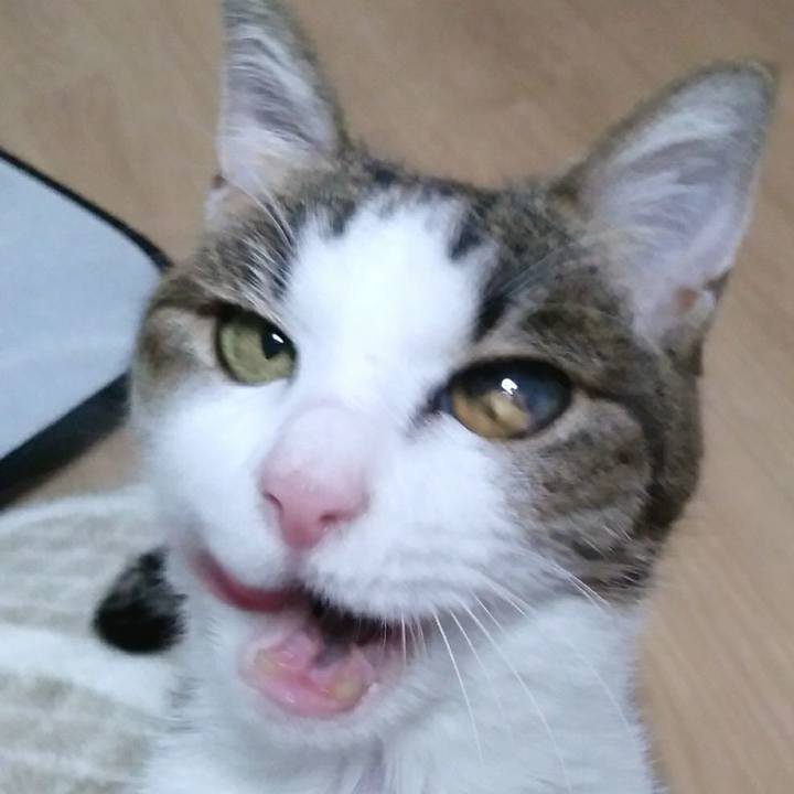 Bca4abe2 1ea0 43d7 b137 4cd5ceb2a813 1554550709616