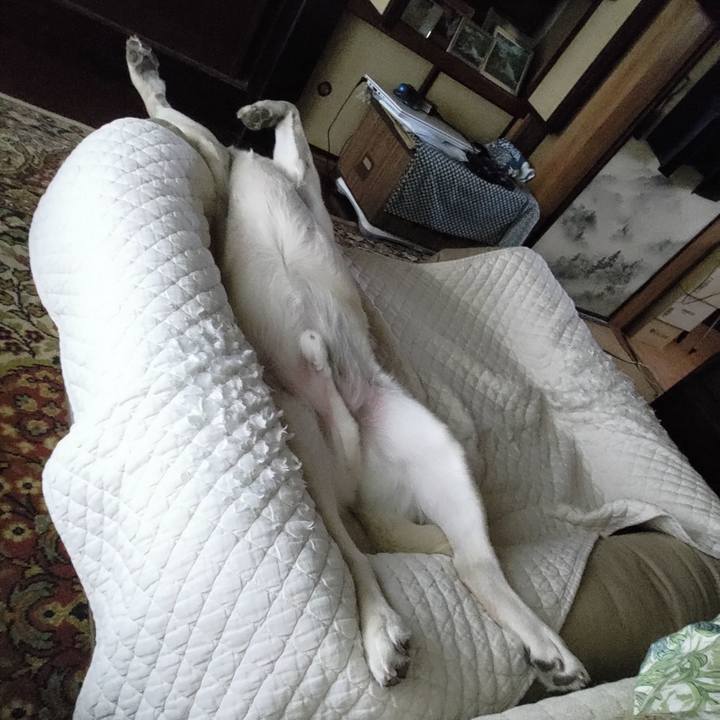 Bca4cfd3 b484 4d09 b1ff 99af2819bdc9 1687914995888