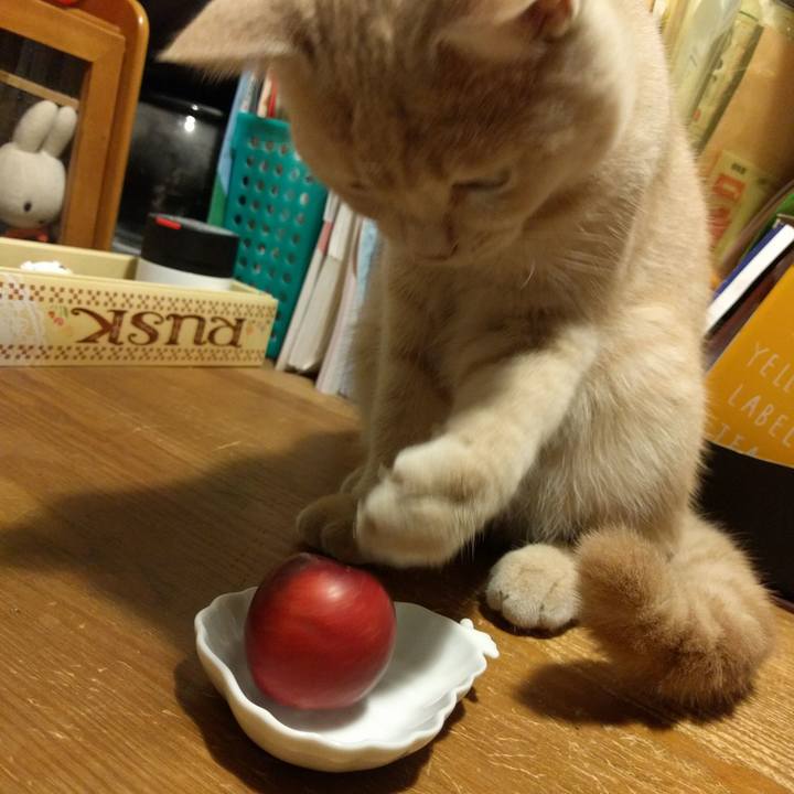 Bca4e4c0 8cb5 4f32 8477 2d2f25ba2665 1510637598187