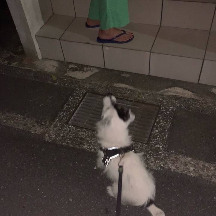 Bca510fd ecfe 482f abfb 2826dcda034a 1723038610750