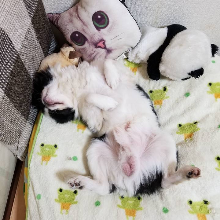 Bca5488e c673 4966 a031 dd3a38ce544f 1637322260597