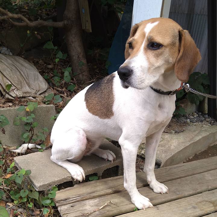 Bca5517f e7b4 4039 b65d 30ca6a28ca38 1630911172063