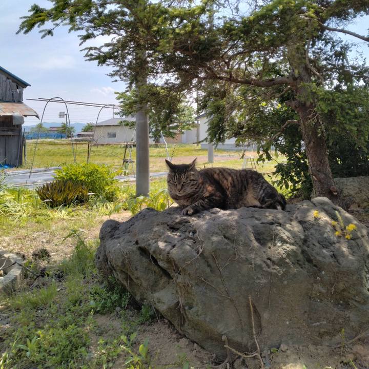 Bca574df 4808 4a63 88d3 ed8046e9b9df 1686038763943