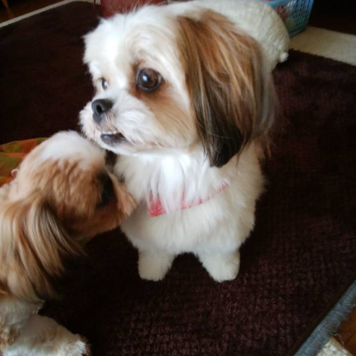 Bca581ee 49d4 4cd2 bec8 a6e6c98ba9f8 1540463217882