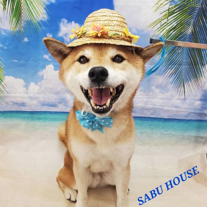 Bca5a7dc ec71 4ef5 9a55 7372876a5f64 1691726280858