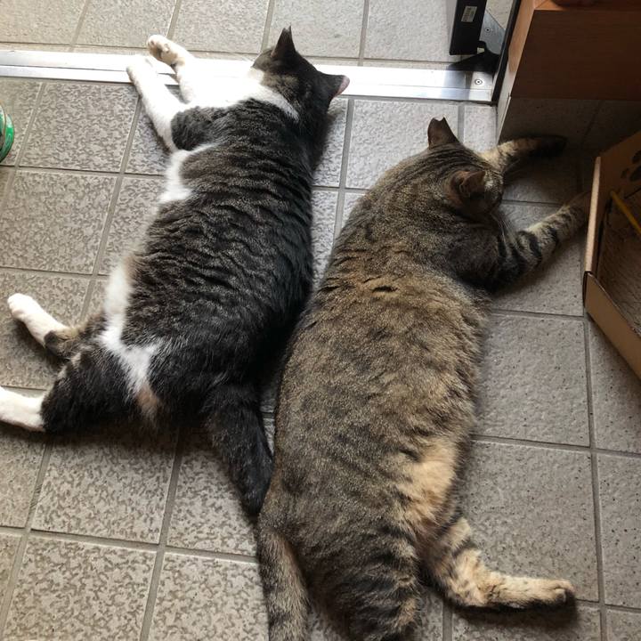 Bca5f06d b29b 42c5 b410 dd8d0ea794f9 1564741178594