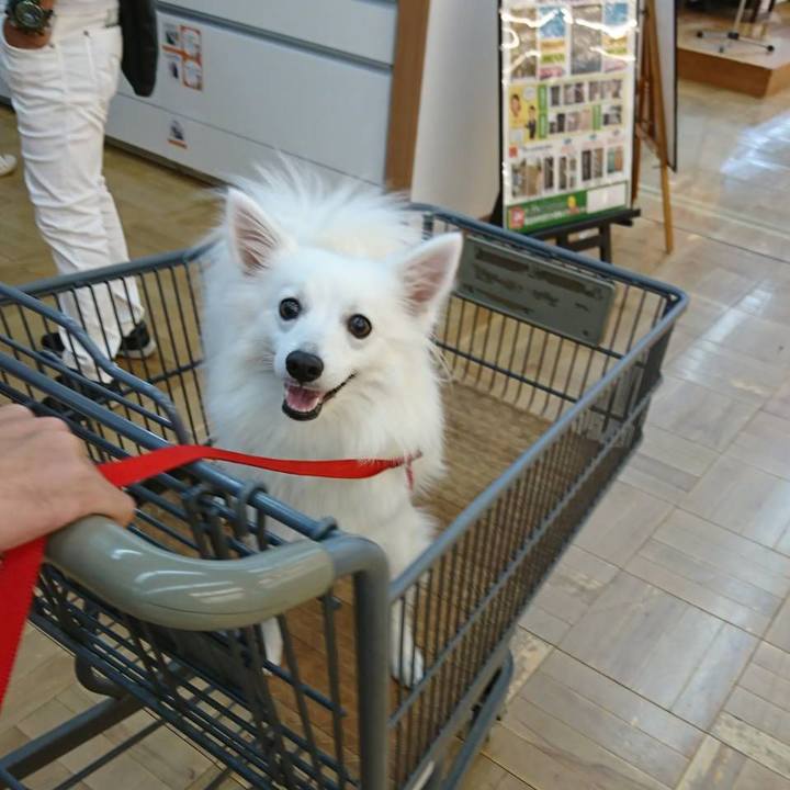 Bca63a99 09fb 4608 be89 a420b9797173 1534672338636