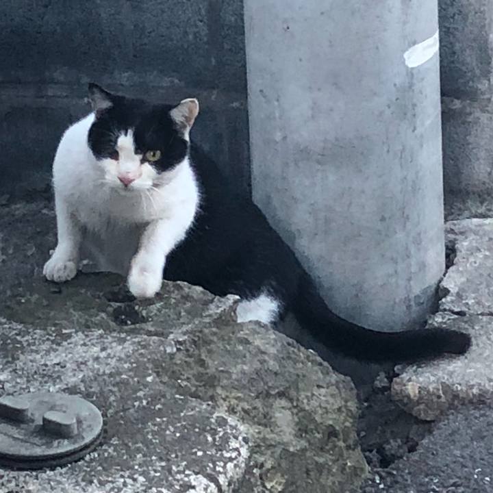 Bca64af1 3548 46cd 840d a8a1b95f989a 1518623897720