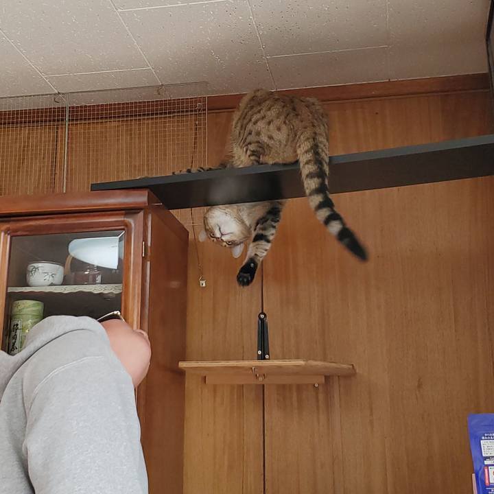 Bca699ba 5b42 4610 8e4e 5b5fd4a2f0c4 1704898498170