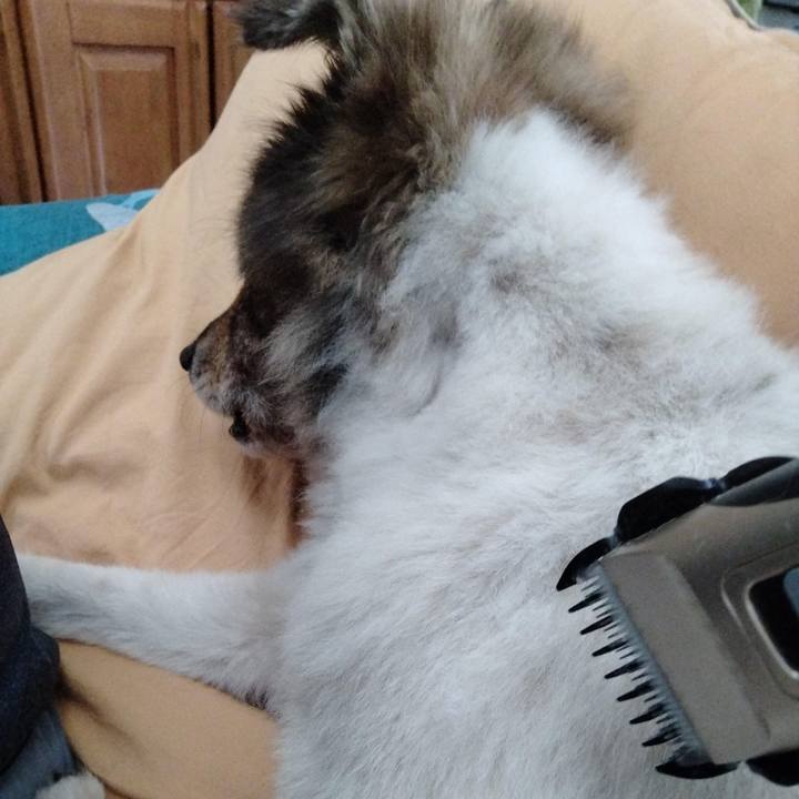 Bca6c77d 88b3 4933 a4f3 1412ecb9e475 1629186992819