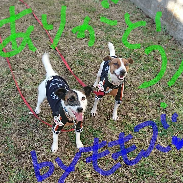 Bca6c89c cfdb 4edf ab84 b372a58fe954 1577792163661