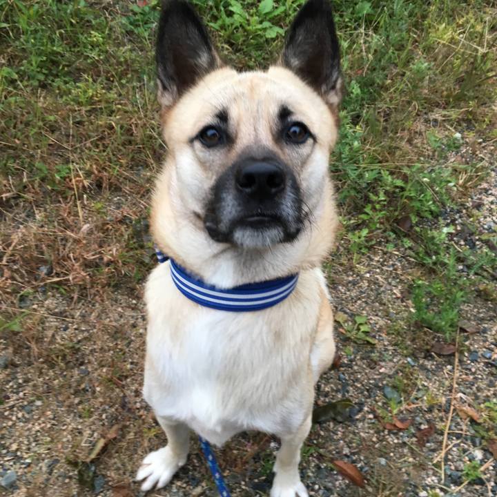 Bca6d24f e93f 480a b68f 0412be3dcefc 1510657381033