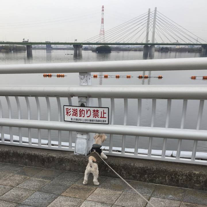 Bca6d3ab 1429 4ec6 bd0e 84d4287d22b9 1521187358061