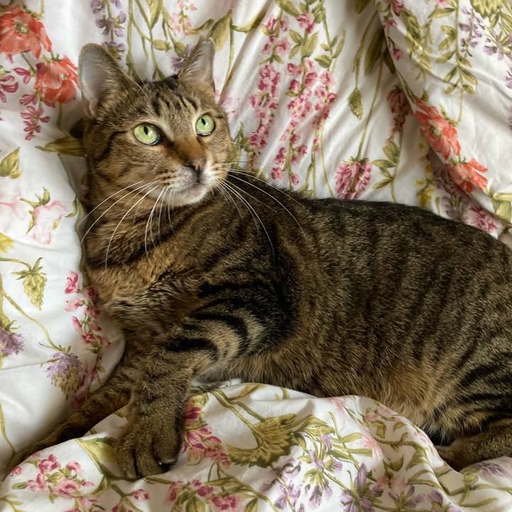 Bca83402 f24b 41d3 8d39 32f209c40cfa 1667965147154