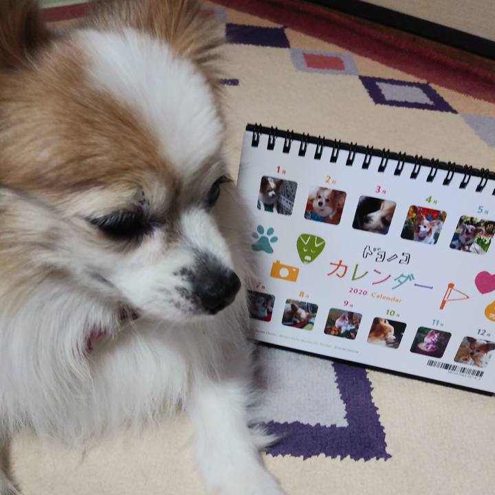 Bca84cb9 e386 4cc5 bb7a 3b70d4c85d2f 1576907779836