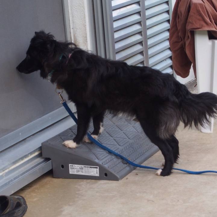 Bca84de0 8f73 4a2d 8953 e3a0785606fb 1521277531709