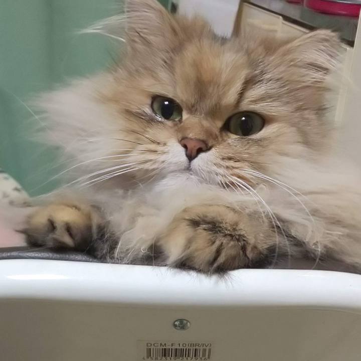 Bca86650 a139 47b3 aadd 884261994b97 1730729422486