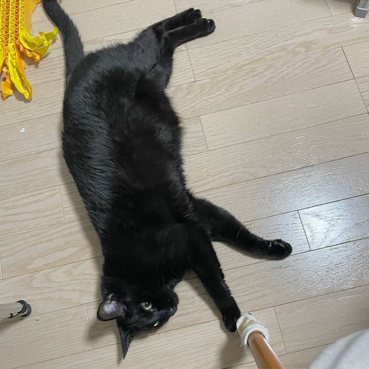 Bca8e500 a92d 4c91 88d4 2094dd5d0d5e 1701956552986