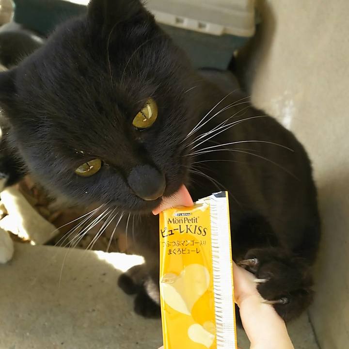 Bca9133d a5e8 4a30 8710 d7715976c7b7 1550639328309