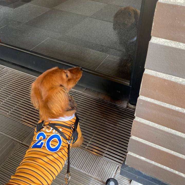 Bca943b6 4b29 420d 87d7 f9ea9eda09b8 1712026370611