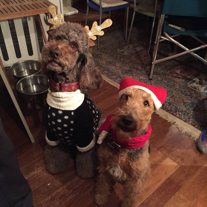 Bca94fdc 9466 4c0d bc3e 4166f3e54356 1514132152883