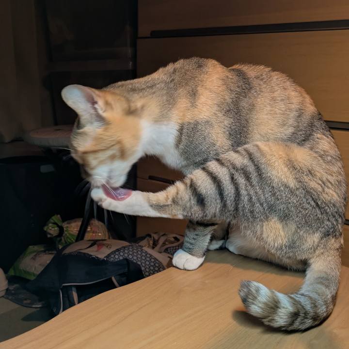 Bca9595e 4522 46fa 83d5 c8ee7f96c435 1764007019307