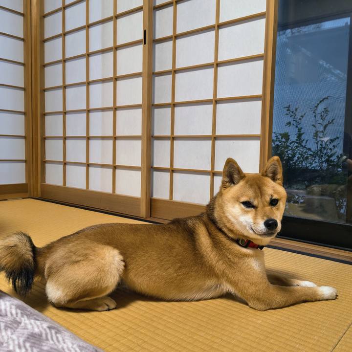 Bca95a91 cbb1 466e 8945 d7729e15e5a6 1768687596015