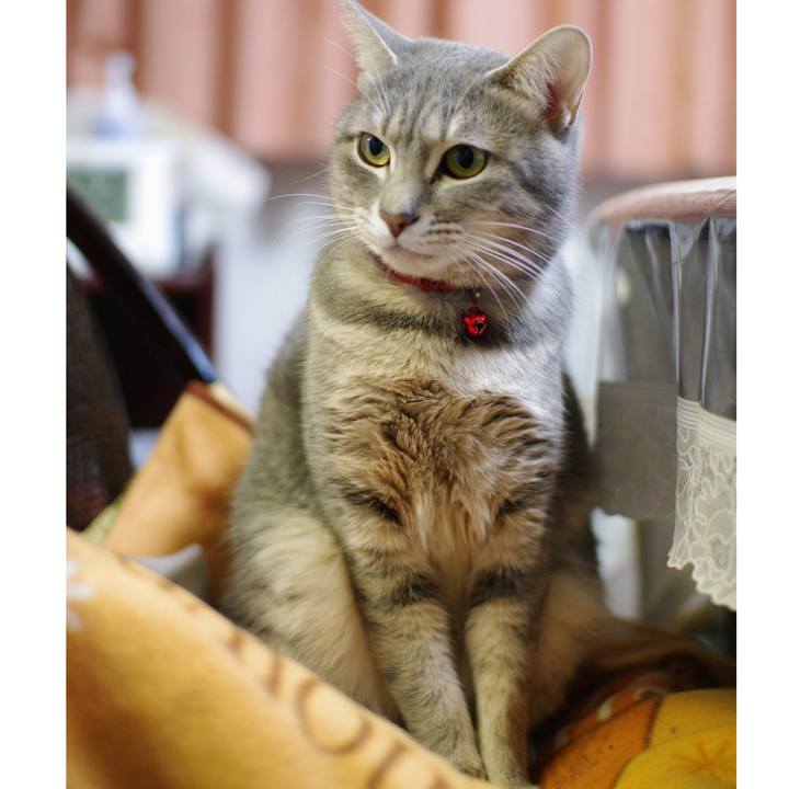 Bca96274 b297 412f 9c9f 5557c9696797 1545727069507