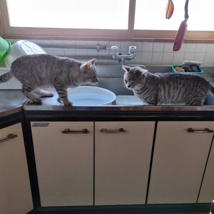 Bca97697 51af 4fbe 9951 26eb7224b1cc 1682612028195