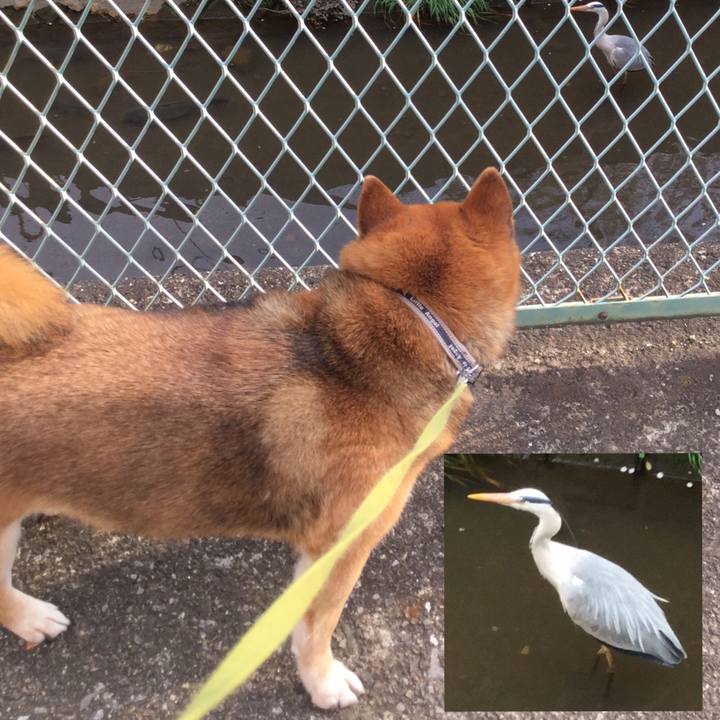 Bca99124 2632 4c31 8be6 a0d505e4b1a3 1586245812465