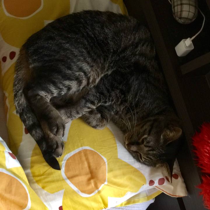 Bca9b43b 3878 40ae 84f0 44f580f6b91f 1523917221238