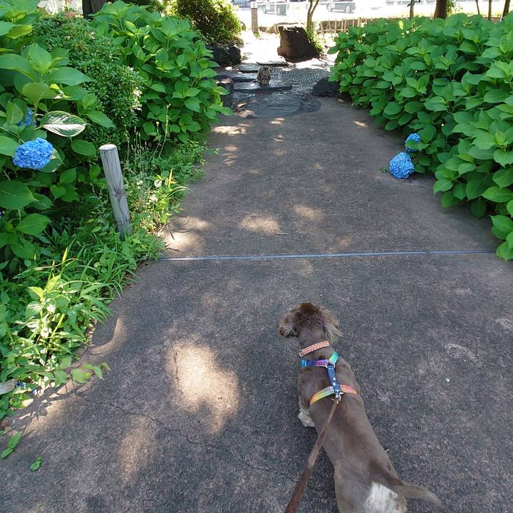 Bca9d0e8 7c7c 49ff bba1 0fc853a85381 1686958981677